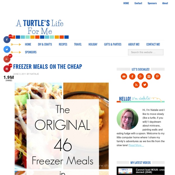 A Turtle's Life for Me: Freezer Meals on the Cheap