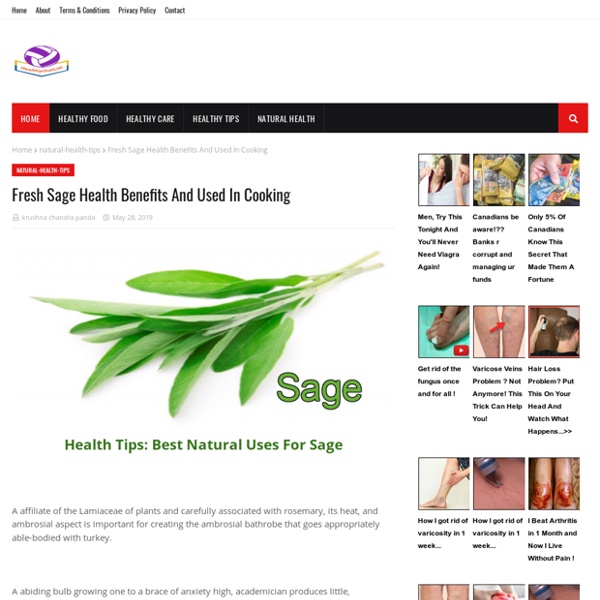 Fresh Sage Health Benefits And Used In Cooking
