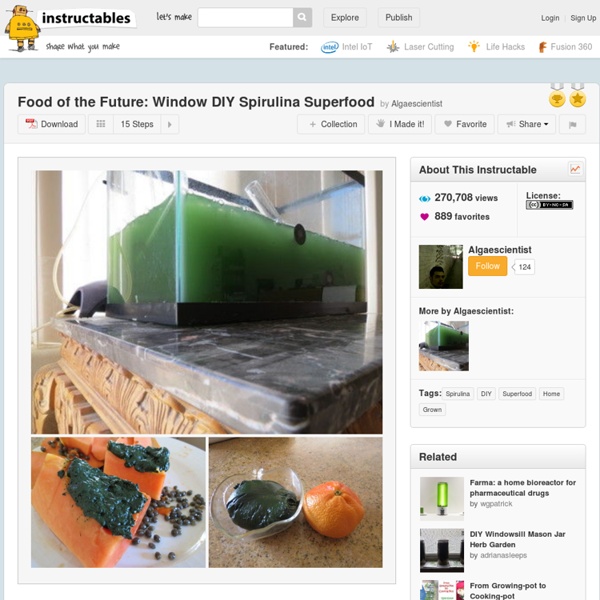Food of the Future: Window DIY Spirulina Superfood