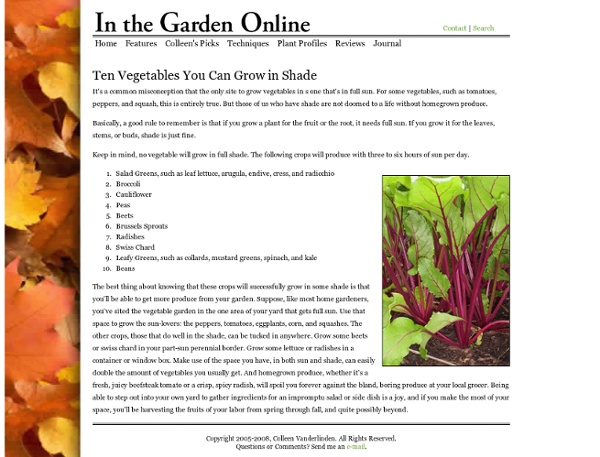 In the Garden Online - Colleen's Picks - Ten Vegetables You Can Grow in Shade