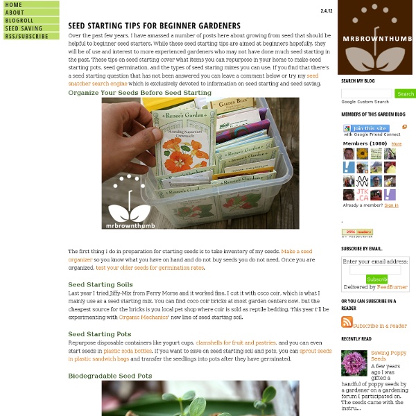 Seed Starting Tips for Beginner Gardeners - MrBrownThumb