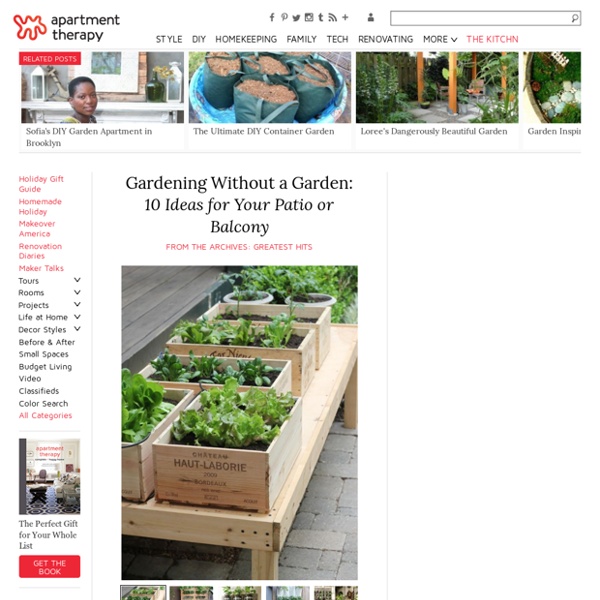 Gardening Without a Garden: 10 Ideas for Your Patio or Balcony Renters Solutions