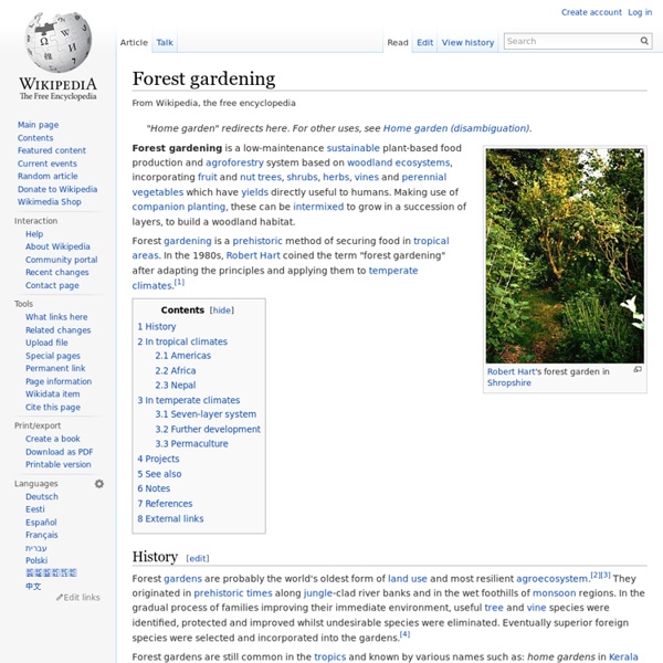Forest gardening