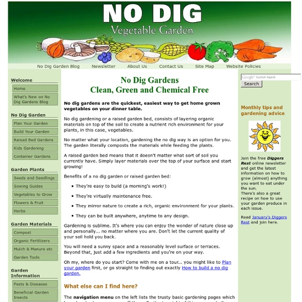 No dig gardens - how to grow vegetables by gardening without digging or tilling