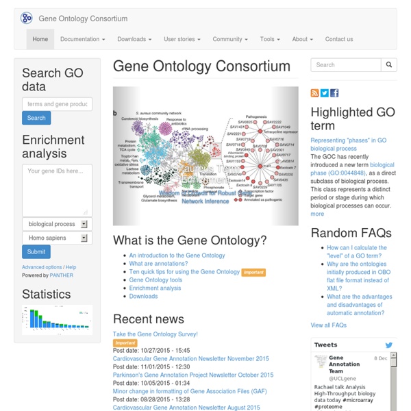The Gene Ontology