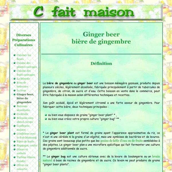 Ginger beer ou bière de gingembre, boisson fermentée.