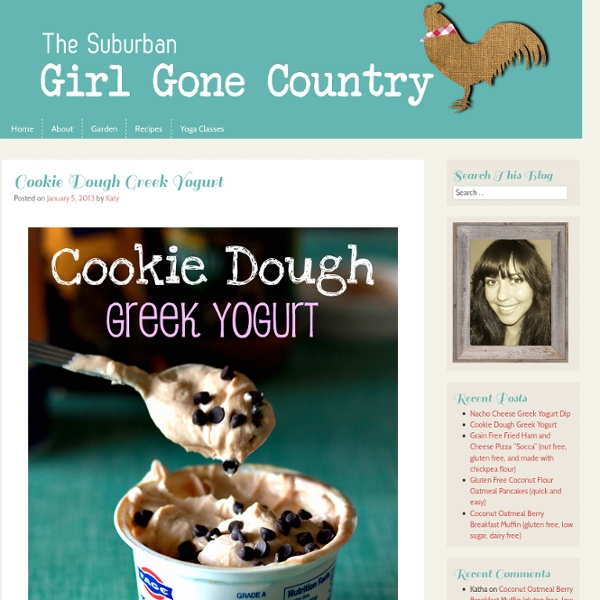 Cookie Dough Greek Yogurt - The Suburban Girl Gone Country