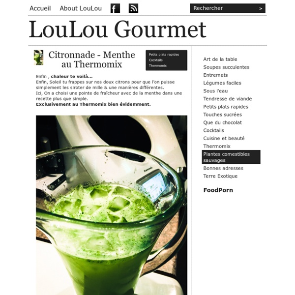LouLou Gourmet - Citronnade - Menthe au Thermomix
