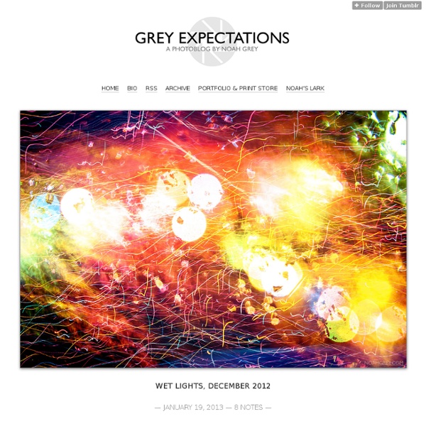 Grey Expectations