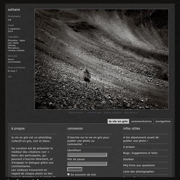 Un photoblog collectif en gris, noir et blanc