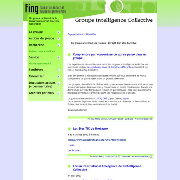 Le groupe Intelligence Collective de la Fing