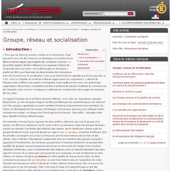 Groupe, réseau et socialisation