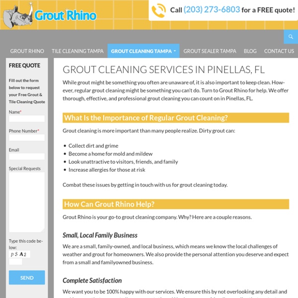 Grout Cleaning in Pinellas, FL