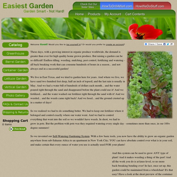 Grow The Easiest Garden on Earth