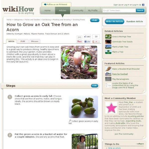 How to Grow an Oak Tree from an Acorn with Step-by-Step Pictures