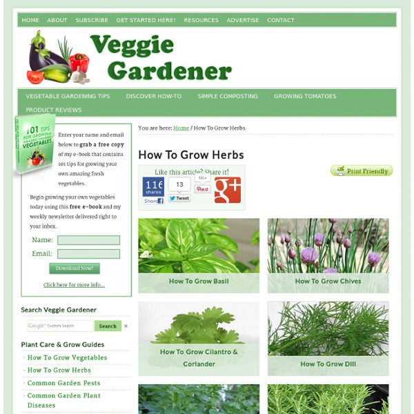 Growing Herbs - How To Grow Herbs