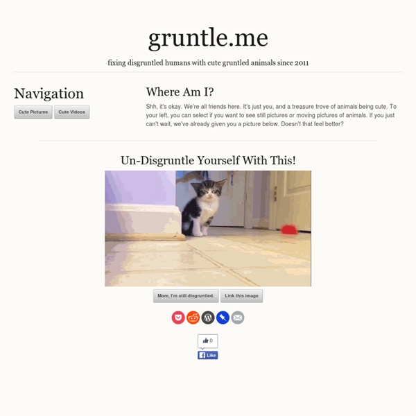 Gruntle.me - fixing disgruntled humans with cute gruntled animals since 2010