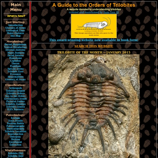 A Guide to the Orders of Trilobites
