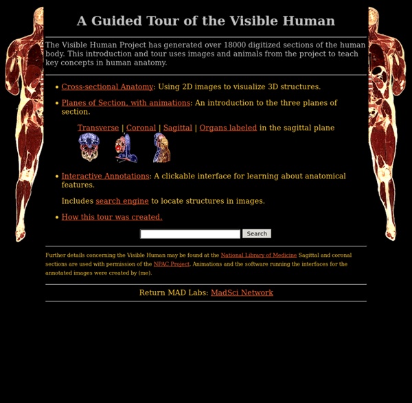 Guided Tour: Visible Human
