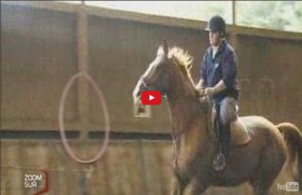 Handicap : L'équitation en guise de thérapie