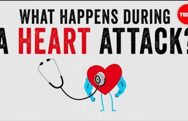 What happens during a heart attack?