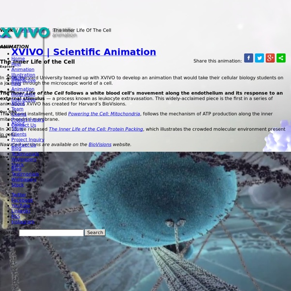 The Inner Life Of The Cell. The Human Cell Animation. XVIVO