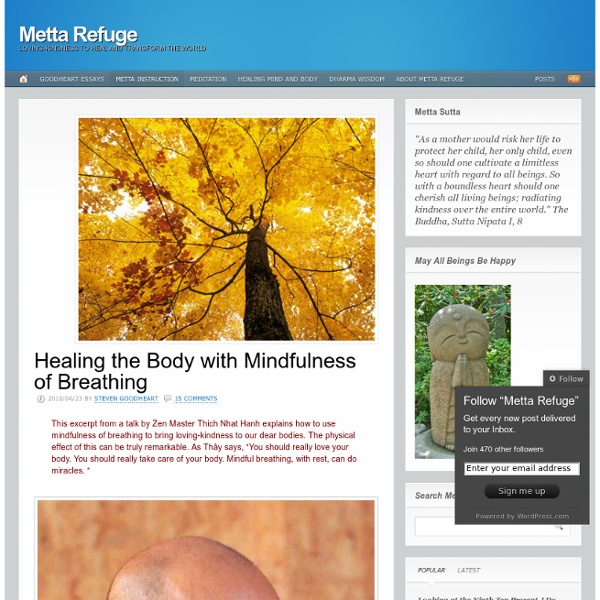 Healing the Body with Mindfulness of Breathing « Metta Refuge