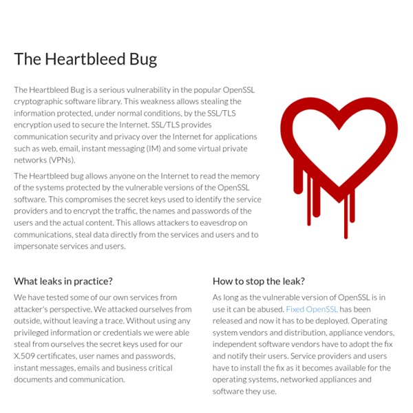 Heartbleed Bug