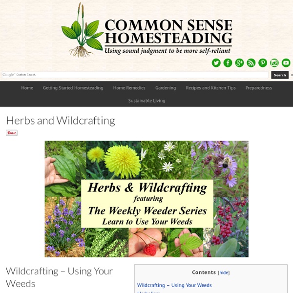 Herbs and Wildcrafting