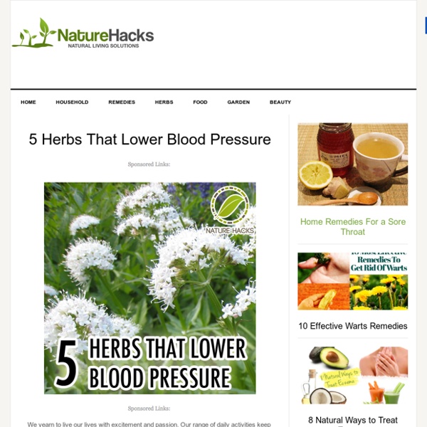 5 Herbs That Lower Blood Pressure