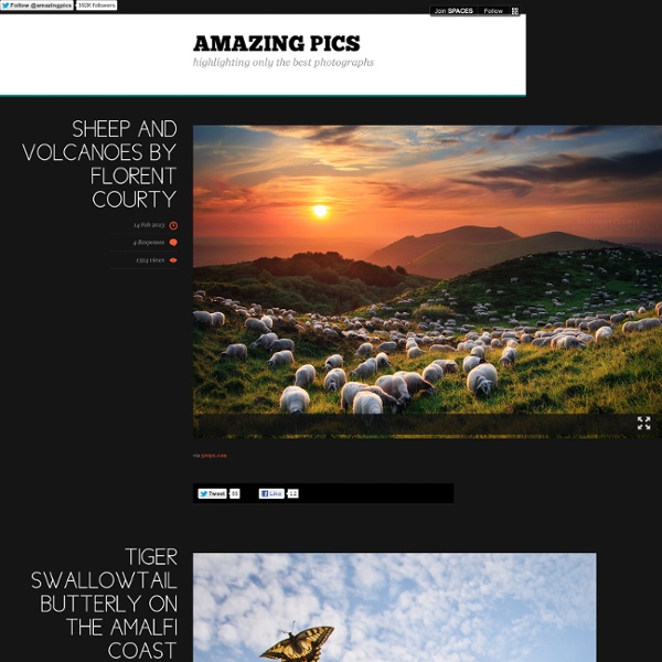 Amazing Pics - highlighting only the best photographs