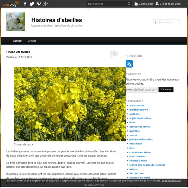 Histoire d'abeilles