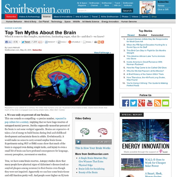 Top Ten Myths About the Brain