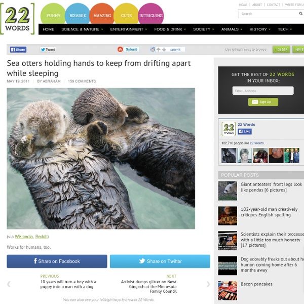 Sea otters holding hands to keep from drifting apart while sleeping