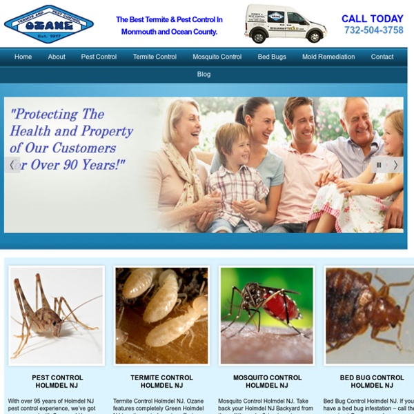 Holmdel NJ Pest Control Termite Control Ozane.com