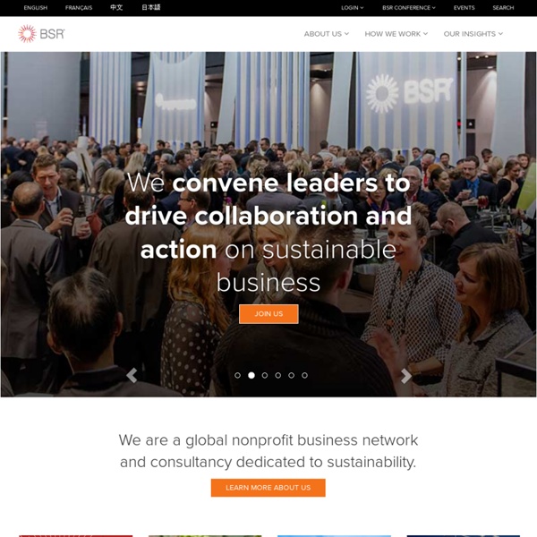 Sustainability, Corporate Social Responsibility Network and Consultancy