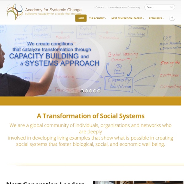 Academy for Systemic Change