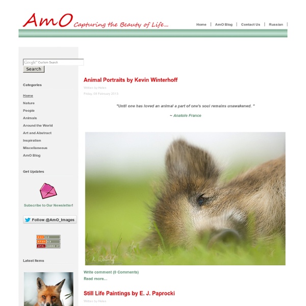 Home - AmO Images: Capturing the Beauty of Life - AmO Images: Capturing the Beauty of Life