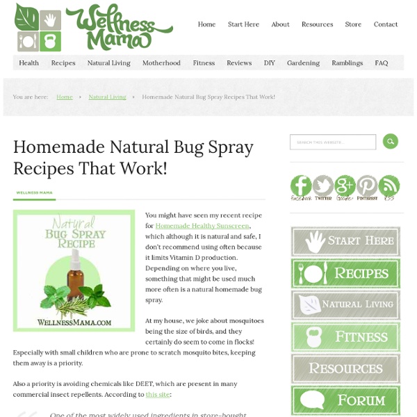 Homemade Herbal Bug Spray Recipes That Work!