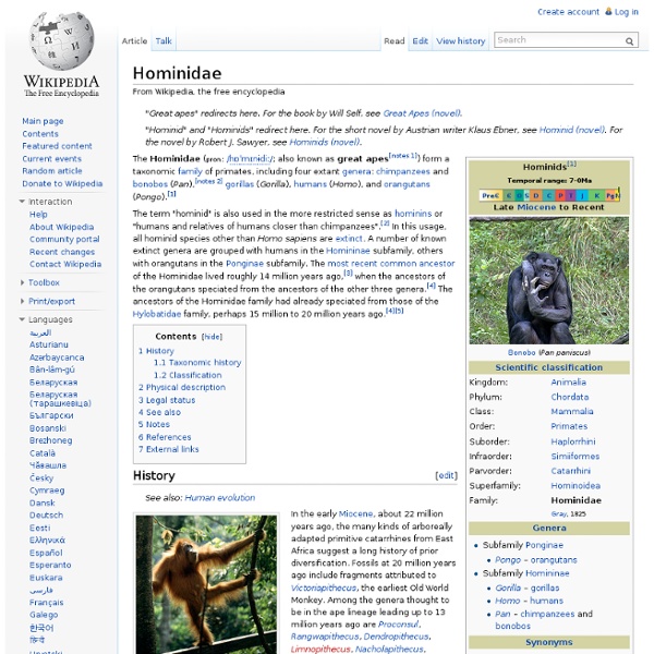 Hominidae