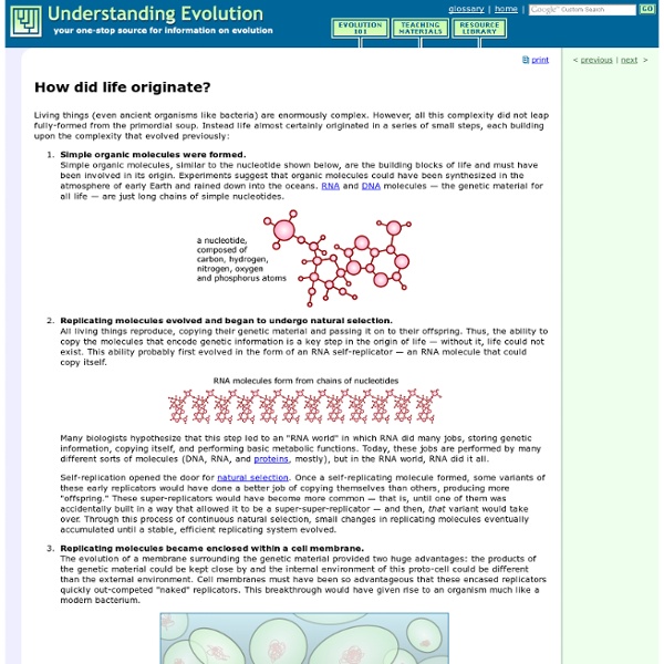 How did life originate?