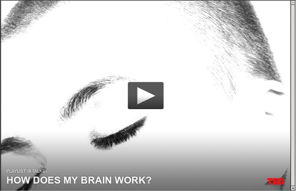 How does my brain work?