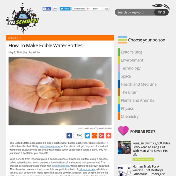 How To Make Edible Water Bottles