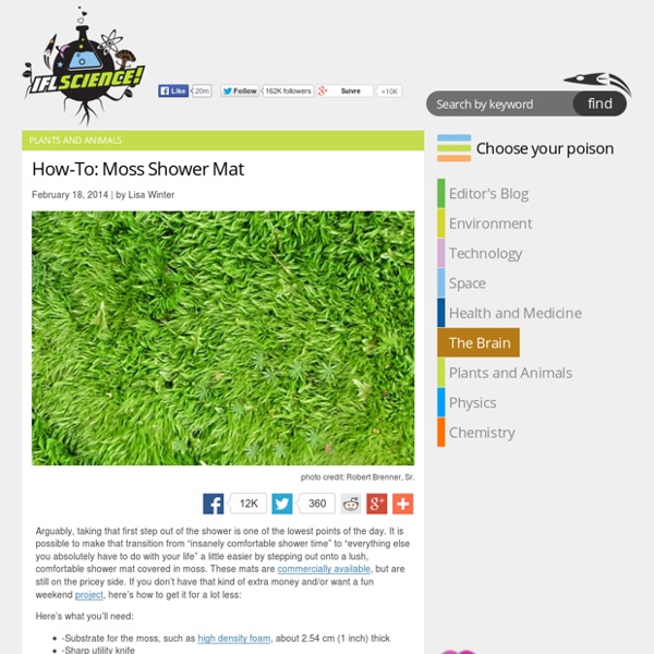 How-To: Moss Shower Mat
