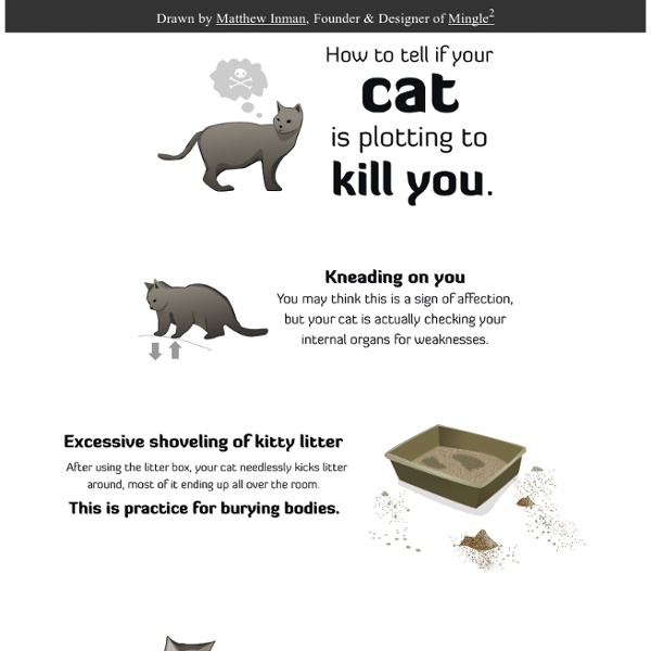 How to Tell if Your Cat is Plotting to Kill You