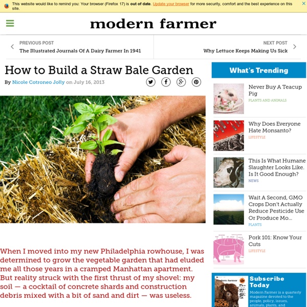 How to Build a Straw Bale Garden