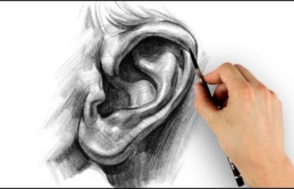 How to Draw Ears - Step by Step