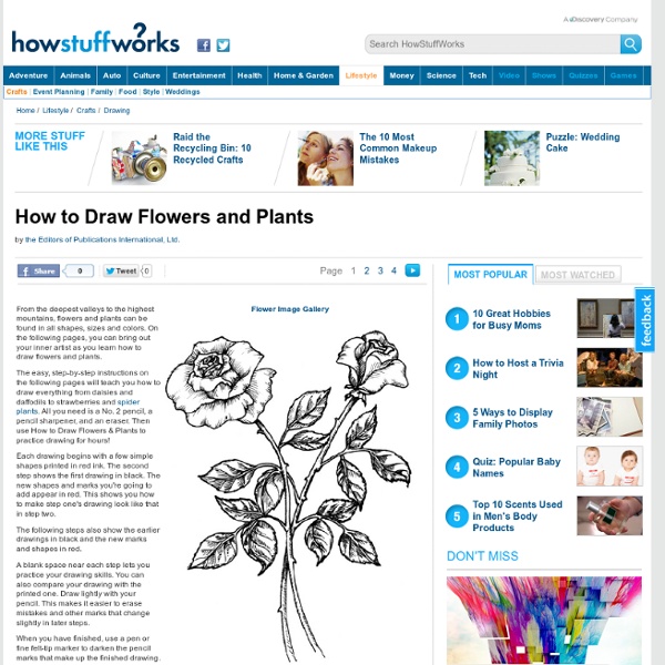 How to Draw Flowers and Plants" Pearltrees