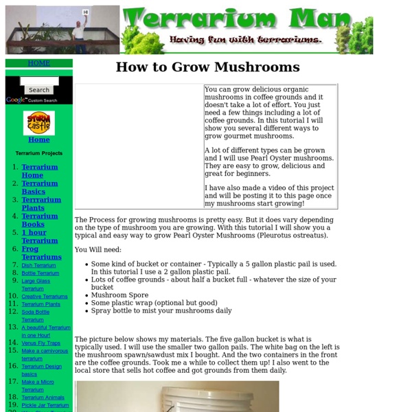 How to Grow Mushrooms