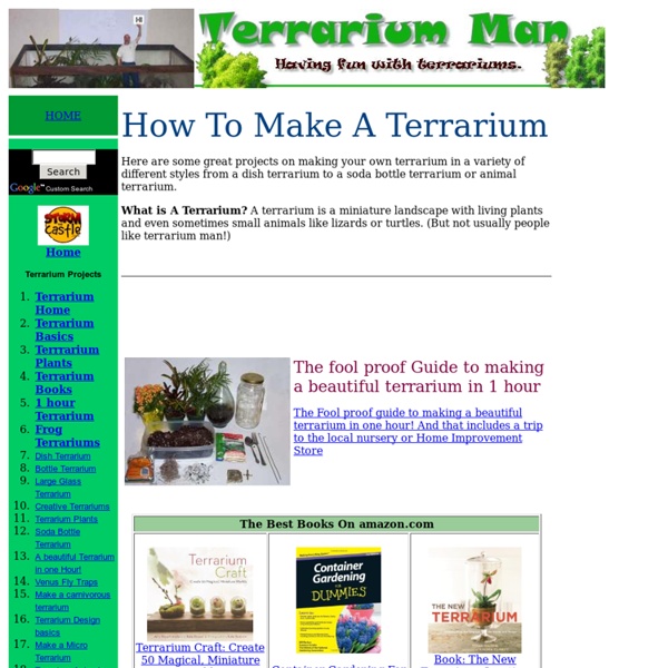 How to Make a terrarium